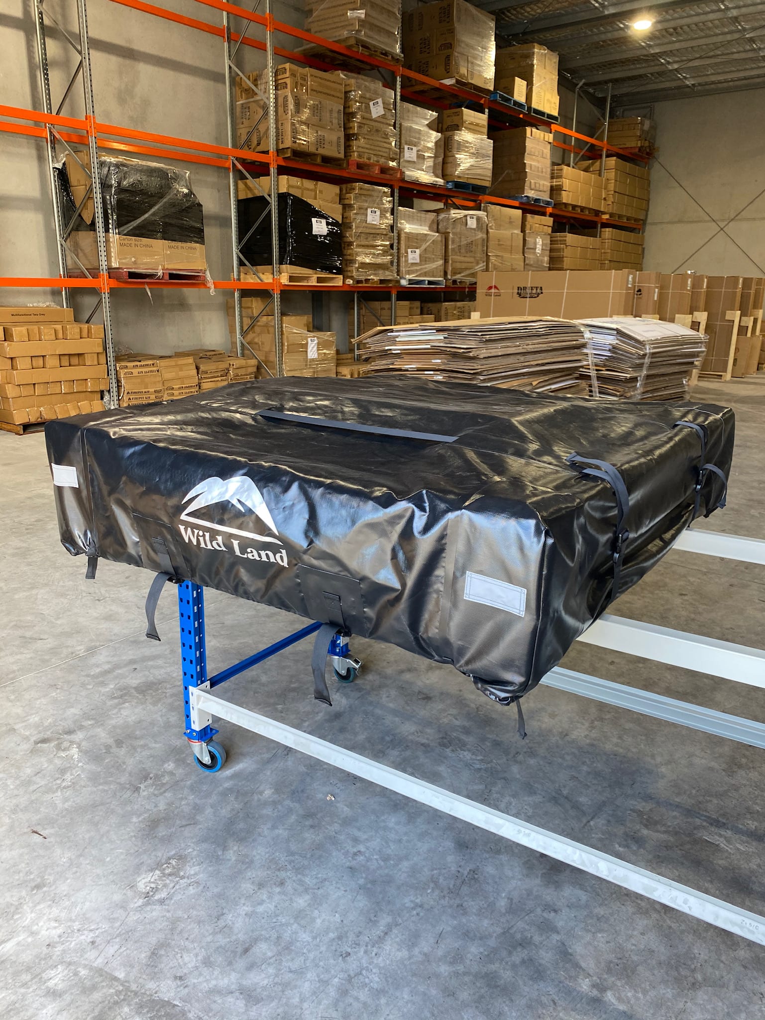 RTT Wild Cruiser 23 - Drifta Stockton Melbourne