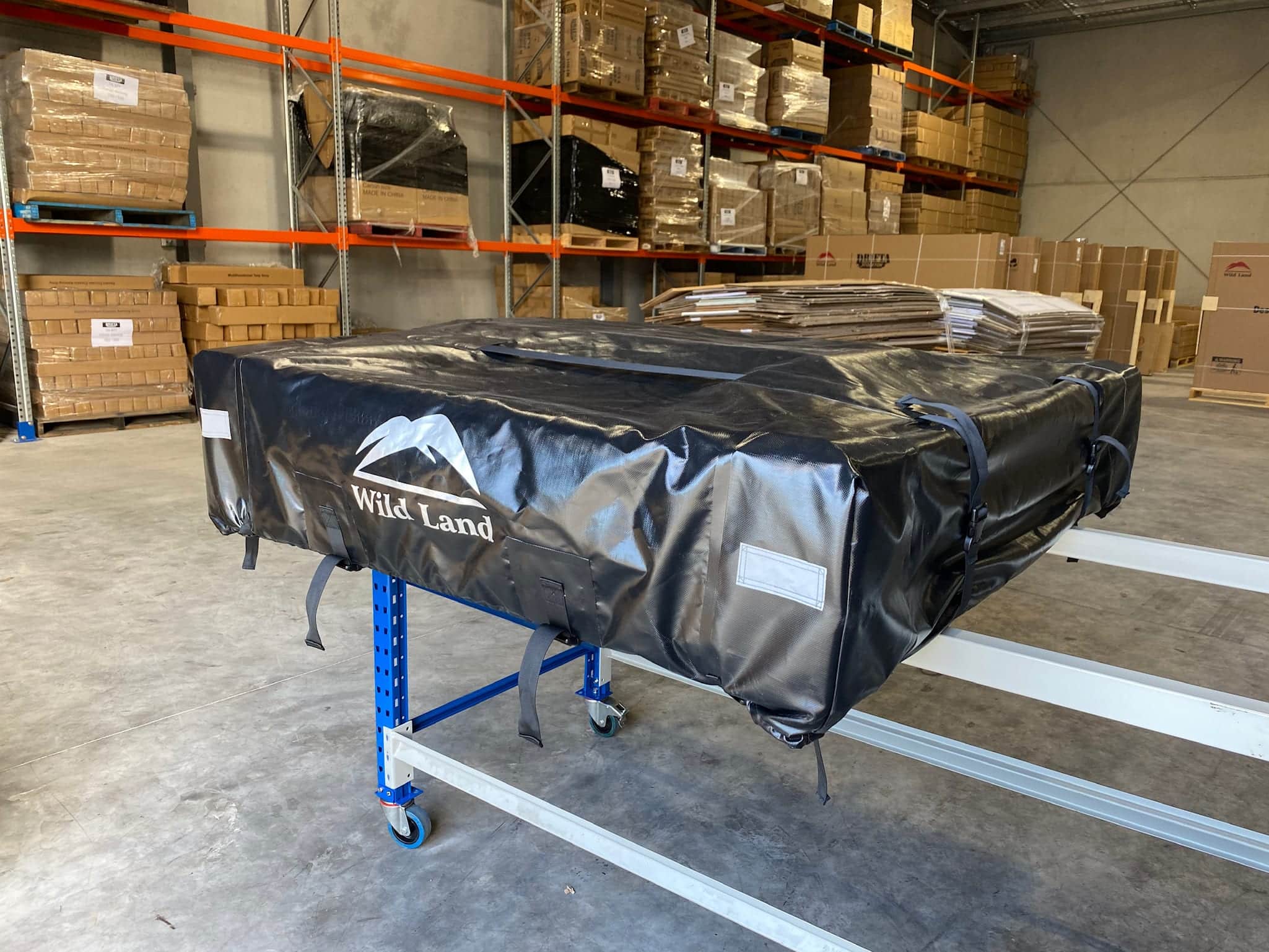 RTT Wild Cruiser 24 - Drifta Stockton Melbourne